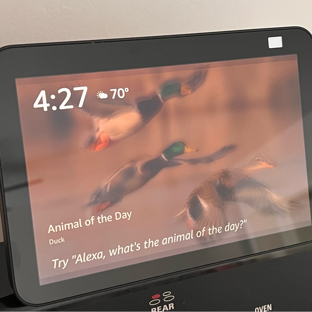 Amazon Echo Show 8